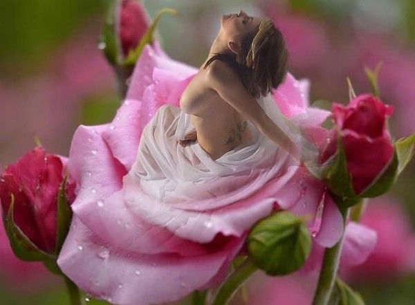 crea glamour servez vous ... bisou 