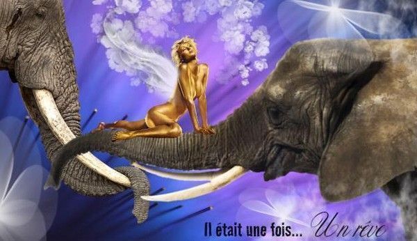 Un amour d'éléphant