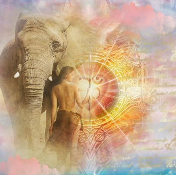 Un amour d'éléphant