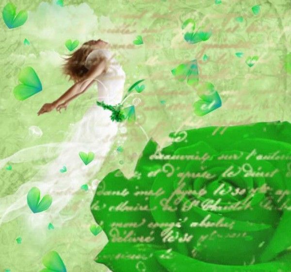 creation offerte avec plaisir 