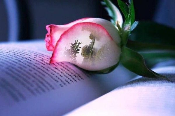 La ou il y a un coeur il y a de l'amour ....