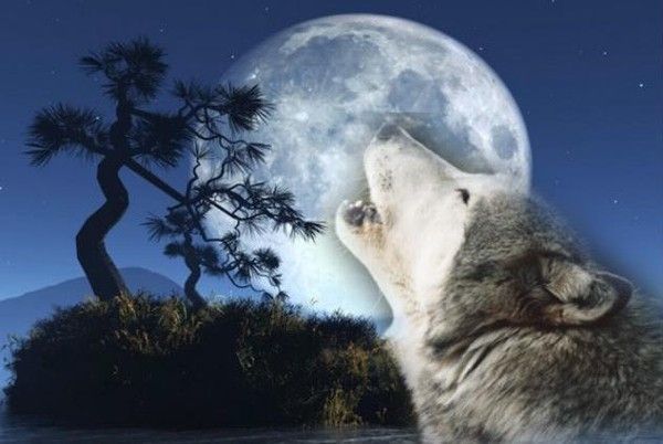 Créa offert de bon coeur 