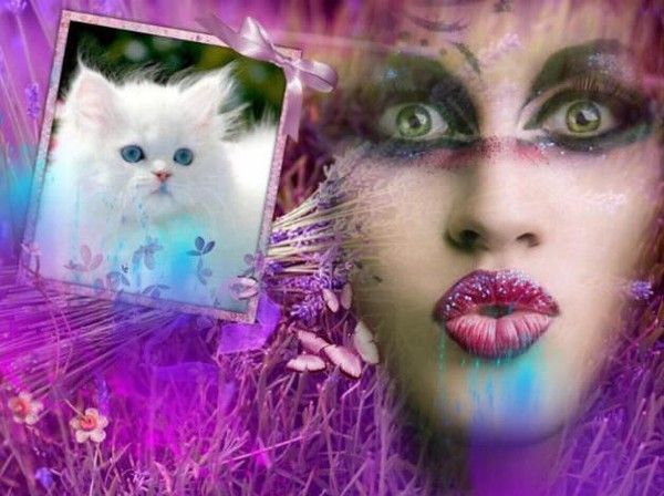 Creation avec animal 