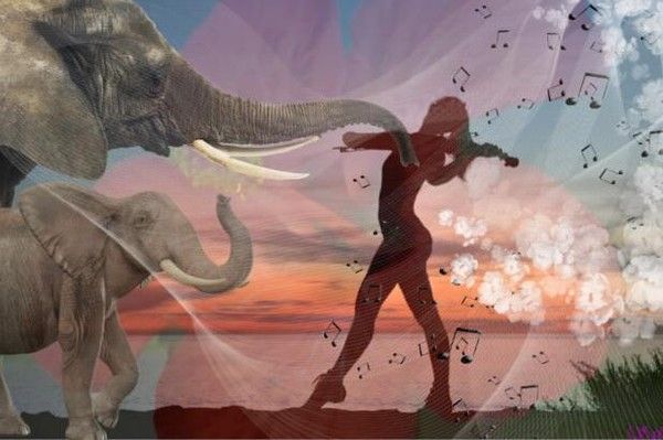 Un amour d'éléphant